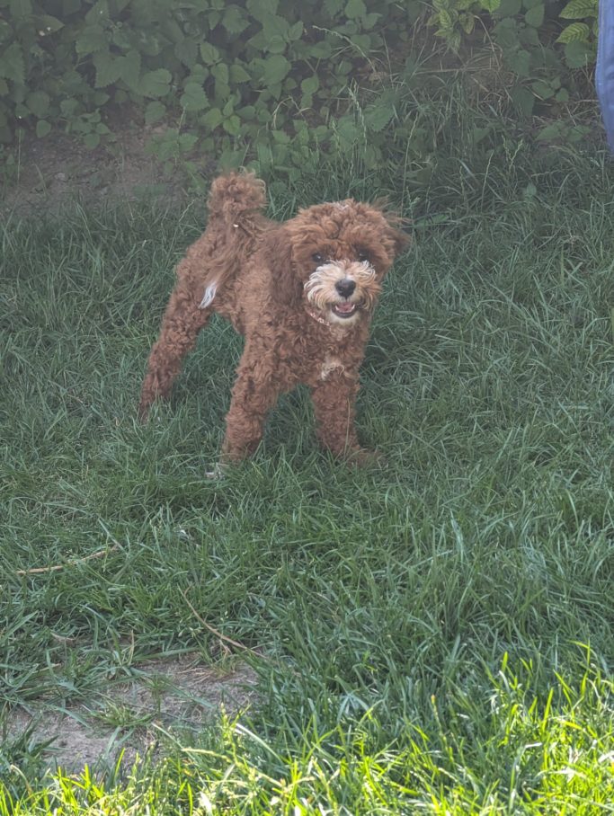 Arthur